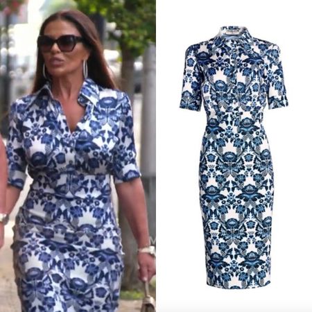 Dolores Catania’s Blue Printed Button Down Dress
