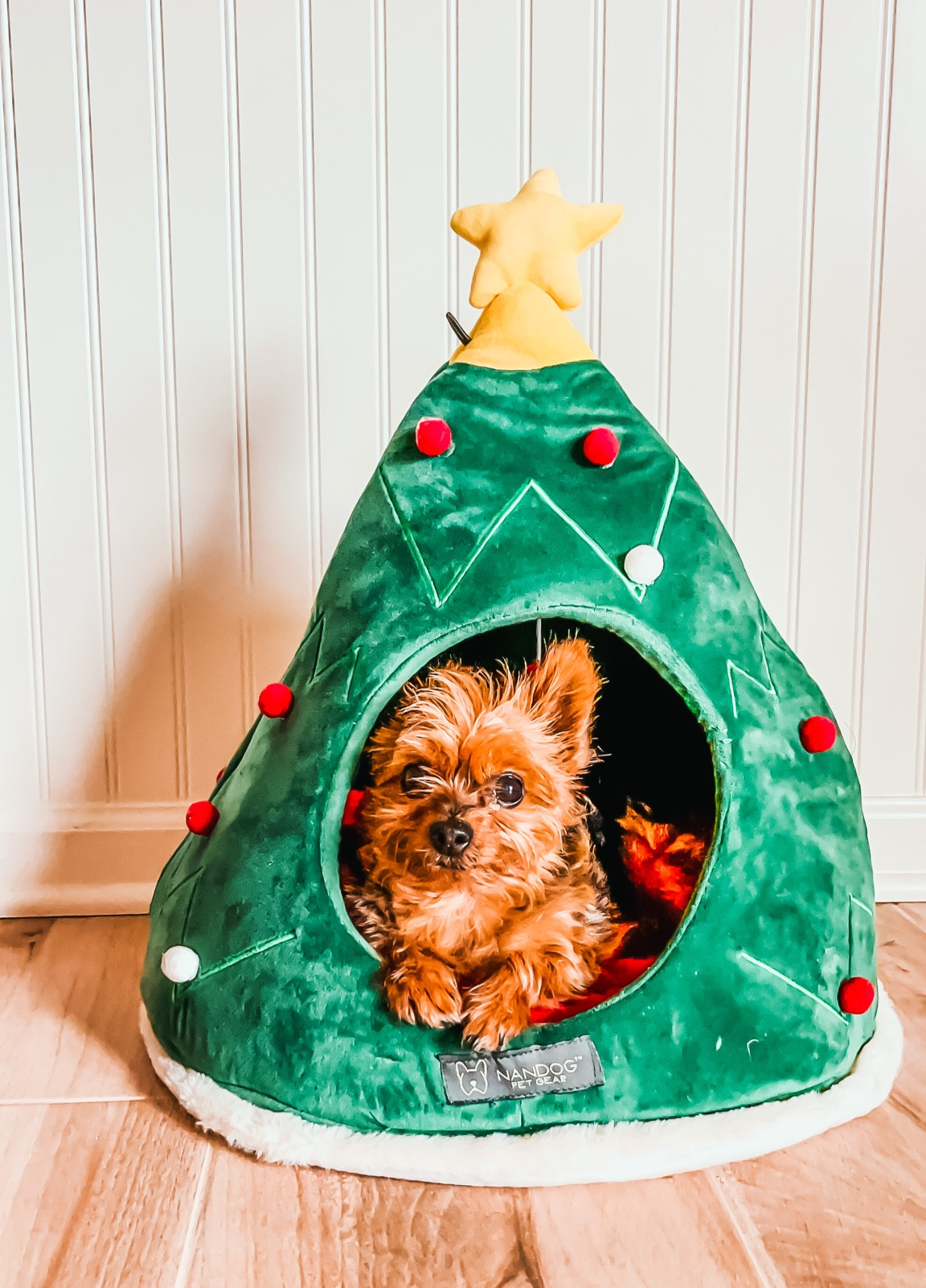 Pet Christmas tree 🎄 cave bed
- Christmas home decor
- pet gifts 
- cat cave igloo
- stocking dog bed
- sleigh dog bed ❤️🛷
#ltkdogmom #ltkdogs #ltksalealert

#LTKSeasonal #LTKHoliday #LTKhome