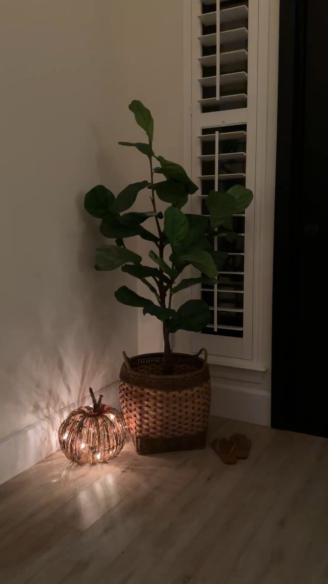 My favorite twinkle ✨ light rattan pumpkin 🎃 found a couple of similar options for you! 

#LTKHalloween