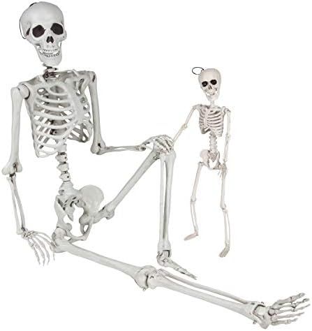 Posable Life Size Human Skeletons, Set of 2 - Adult & Child - Realistic Halloween Prop Decoration... | Amazon (US)