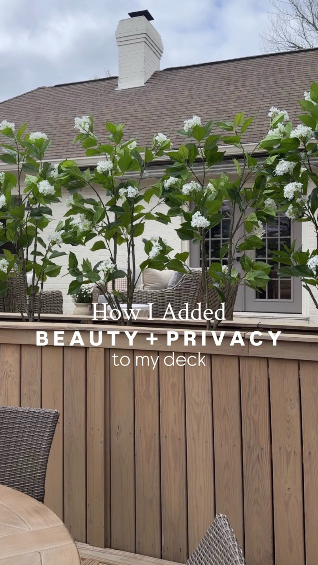 Amazon finds | privacy wall | privacy trees | 5ft faux hydrangea trees | UV floral protectant spray | Amazon | outdoor decor | outdoor living space | outdoor furniture 

#LTKSaleAlert #LTKSeasonal