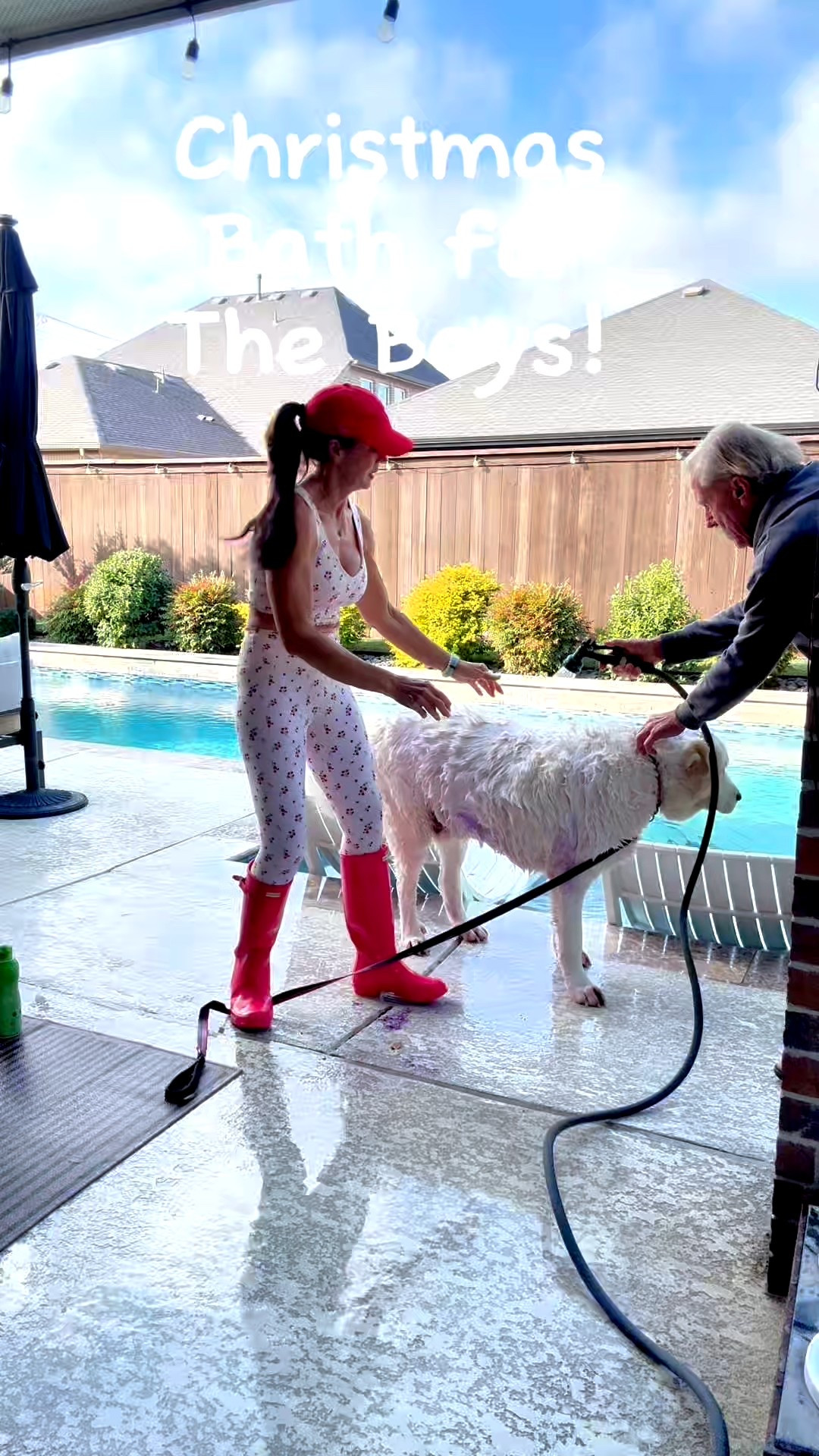 Empty nest Christmas and 80 degree weather in Dallas called for bath time for our rescue pups!   The big guy likes it, the smaller one, not so much, but now they are nice and clean!  

#LTKmomlife #LTKfitnessgoals #LTKActive