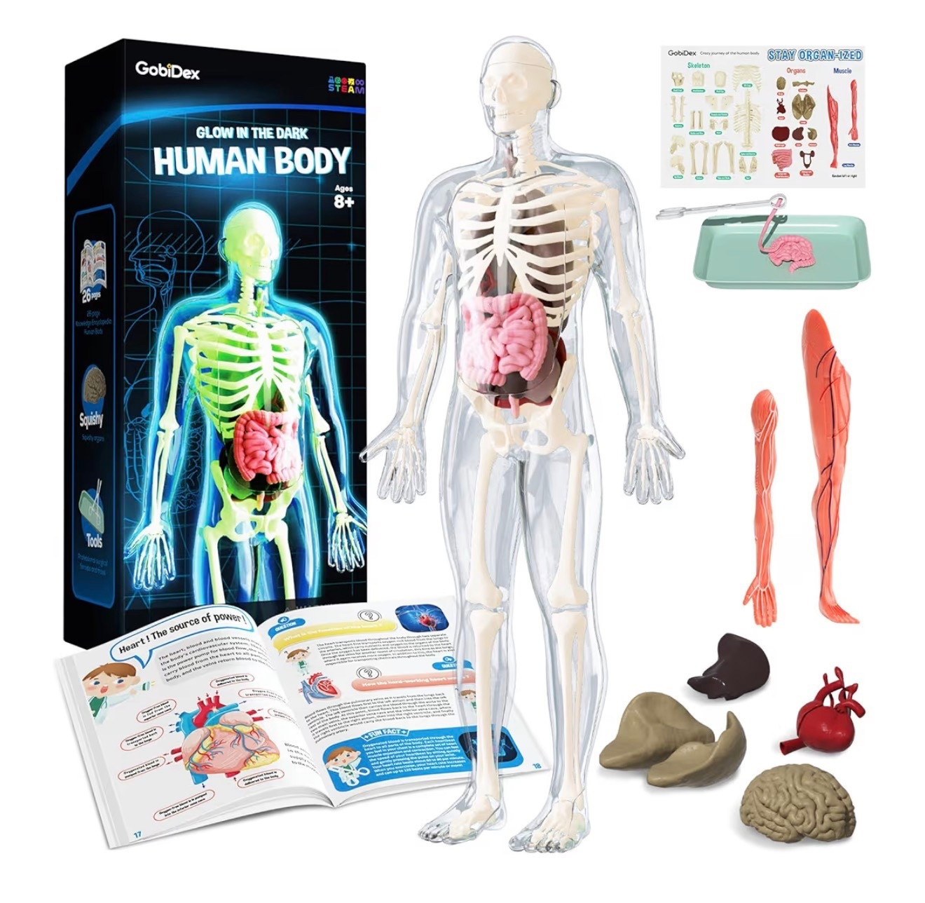Amazon science kits perfect for homeschooling! 

#Homeschool #Homeschooling #Science #Anatomy #Learning #Amazon #Parenting #Childhood

#LTKKids #LTKdayinmylife #LTKmomlife