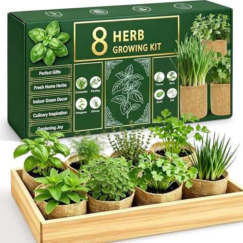 Indoor Herb Garden Kit, Culinary Herb Starter Kit with Seeds & Tools for Beginners, Kitchen Decor, House Warming Gifts for New Home, for Christmas, Ultimate Birthday Gifts for Women Men Mom Dad | Amazon (US)