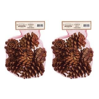 Pumpkin Spice Scented Pinecone Bag (2-Pack) | The Home Depot