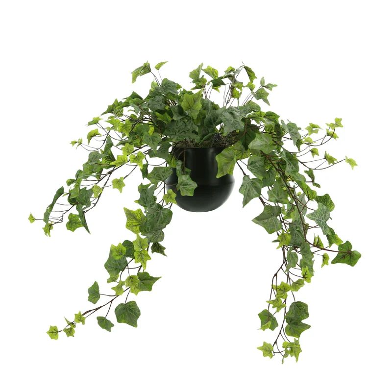 14" Artificial Ivy Plant in Pot | Wayfair North America