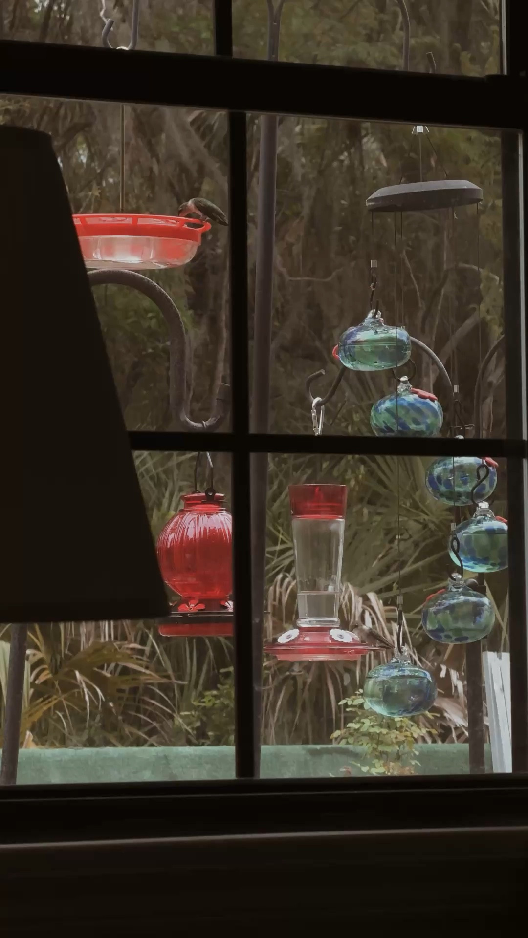 Hummingbird feed station 

#LTKHome #LTKSeasonal