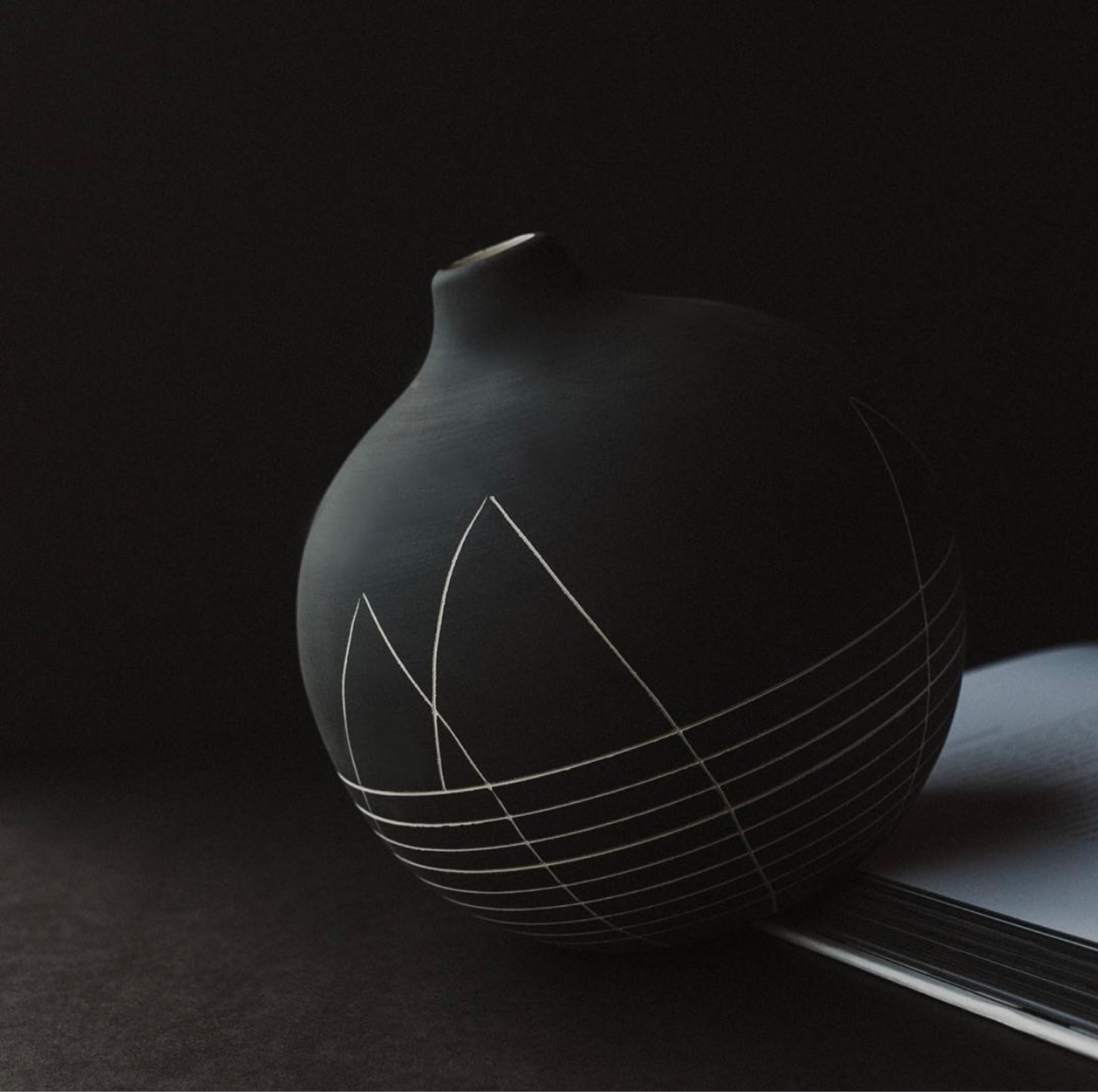 Vases for fall 🍂

#LTKhome #LTKSeasonal #LTKunder100