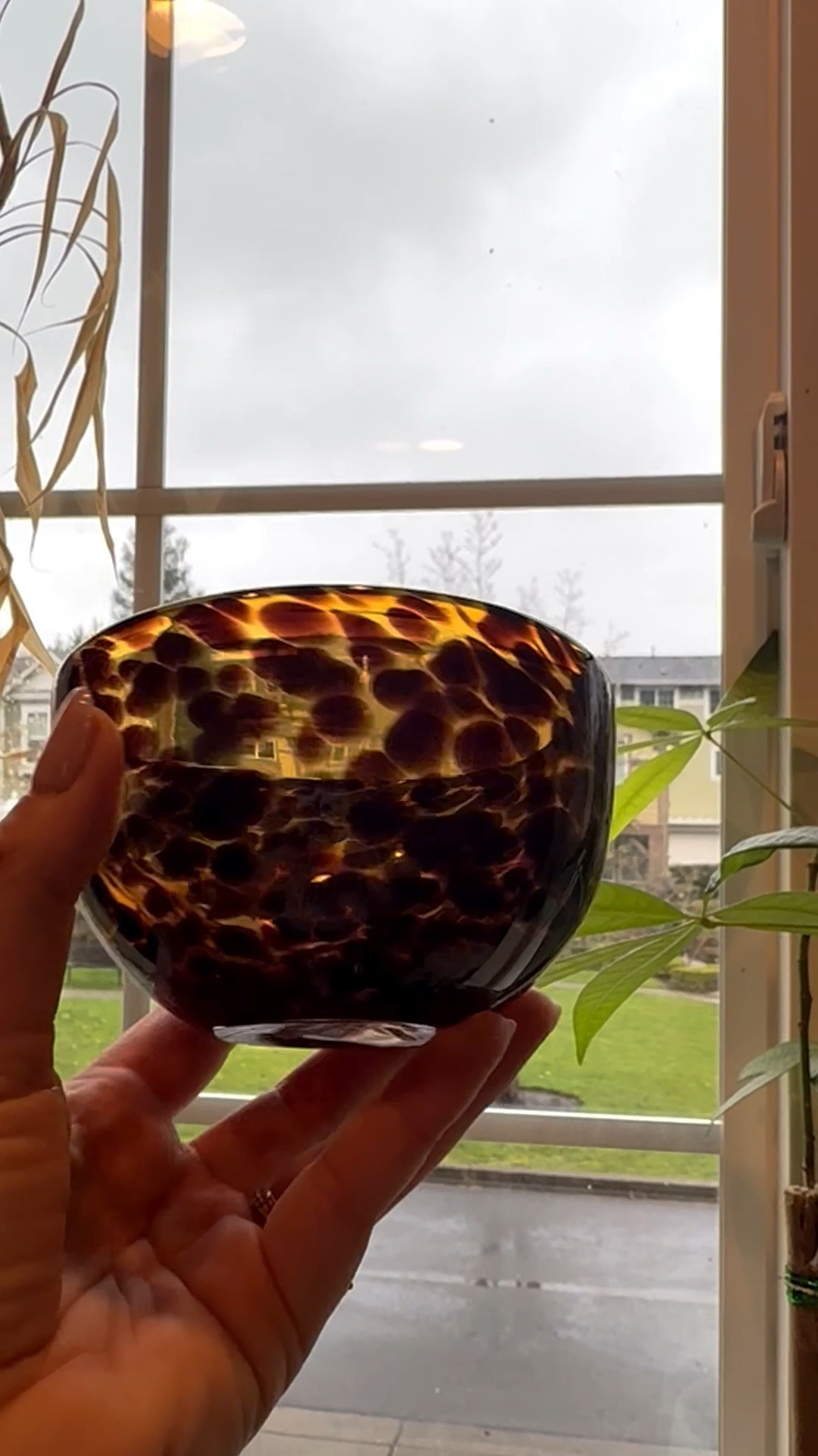 How cute are these Amazon bowls?! Under $40 for a set of two!

#LTKHome