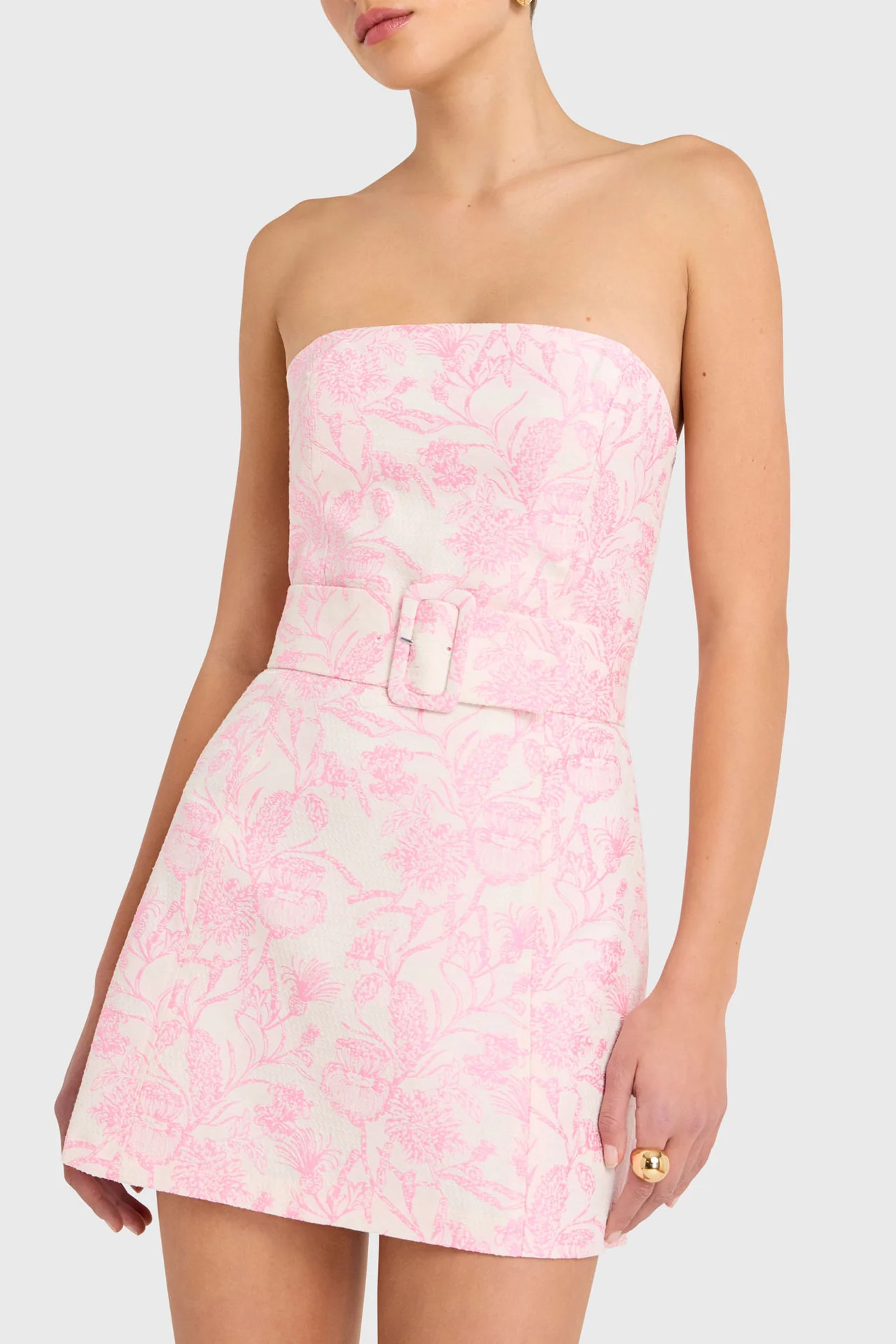 Fae Dress in Toile Brocade | Amanda Uprichard