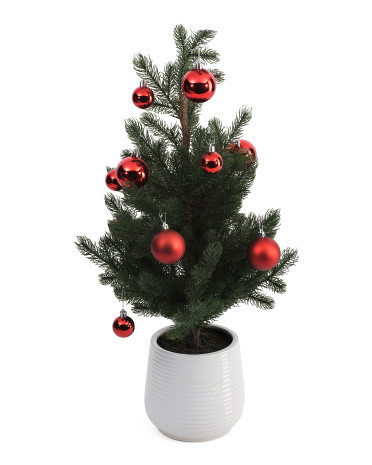 32in Pine Tree With Red Christmas Balls | TJ Maxx