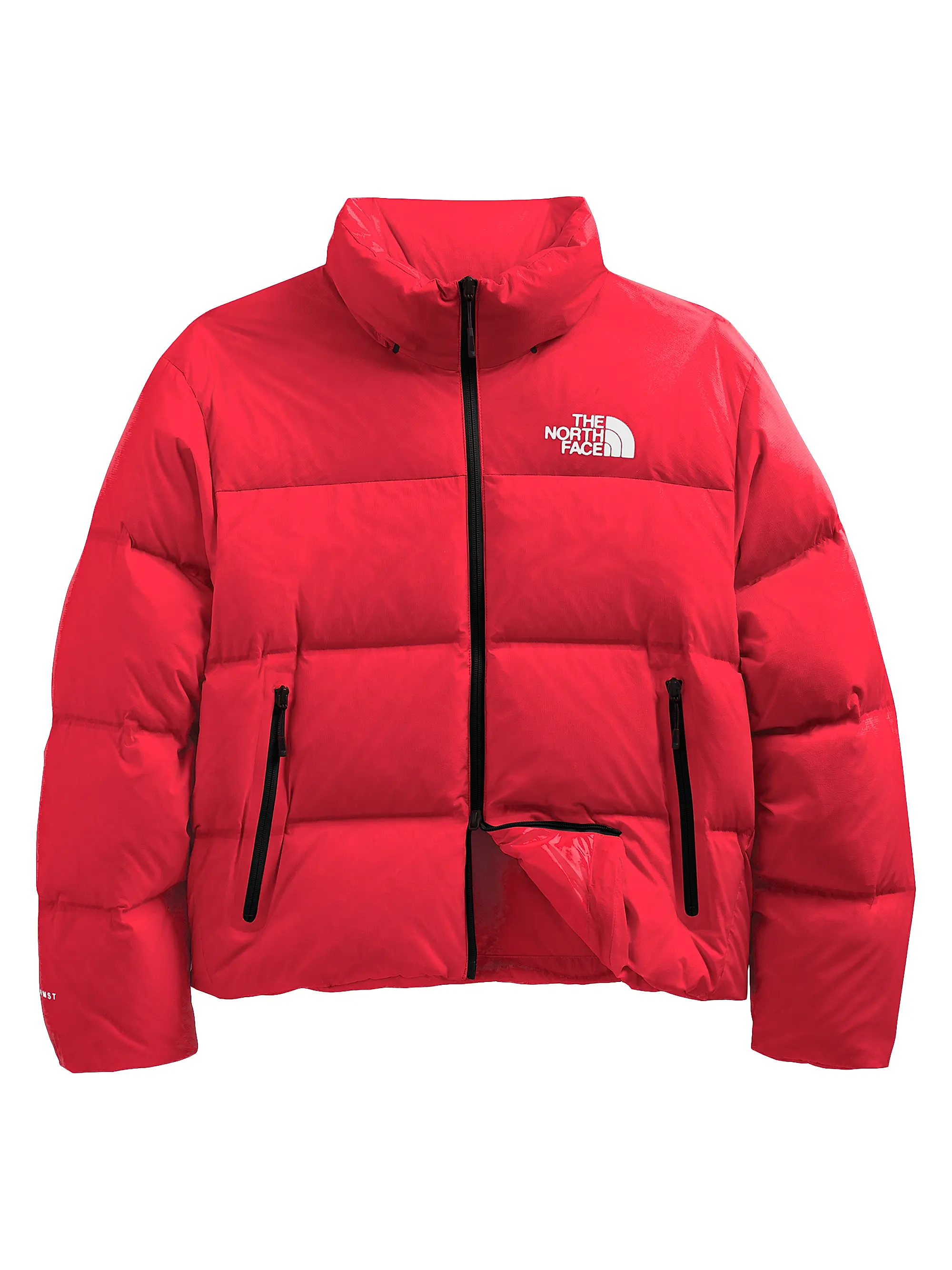 Shop The North Face Nuptse Boxy Jacket | Saks Fifth Avenue | Saks Fifth Avenue