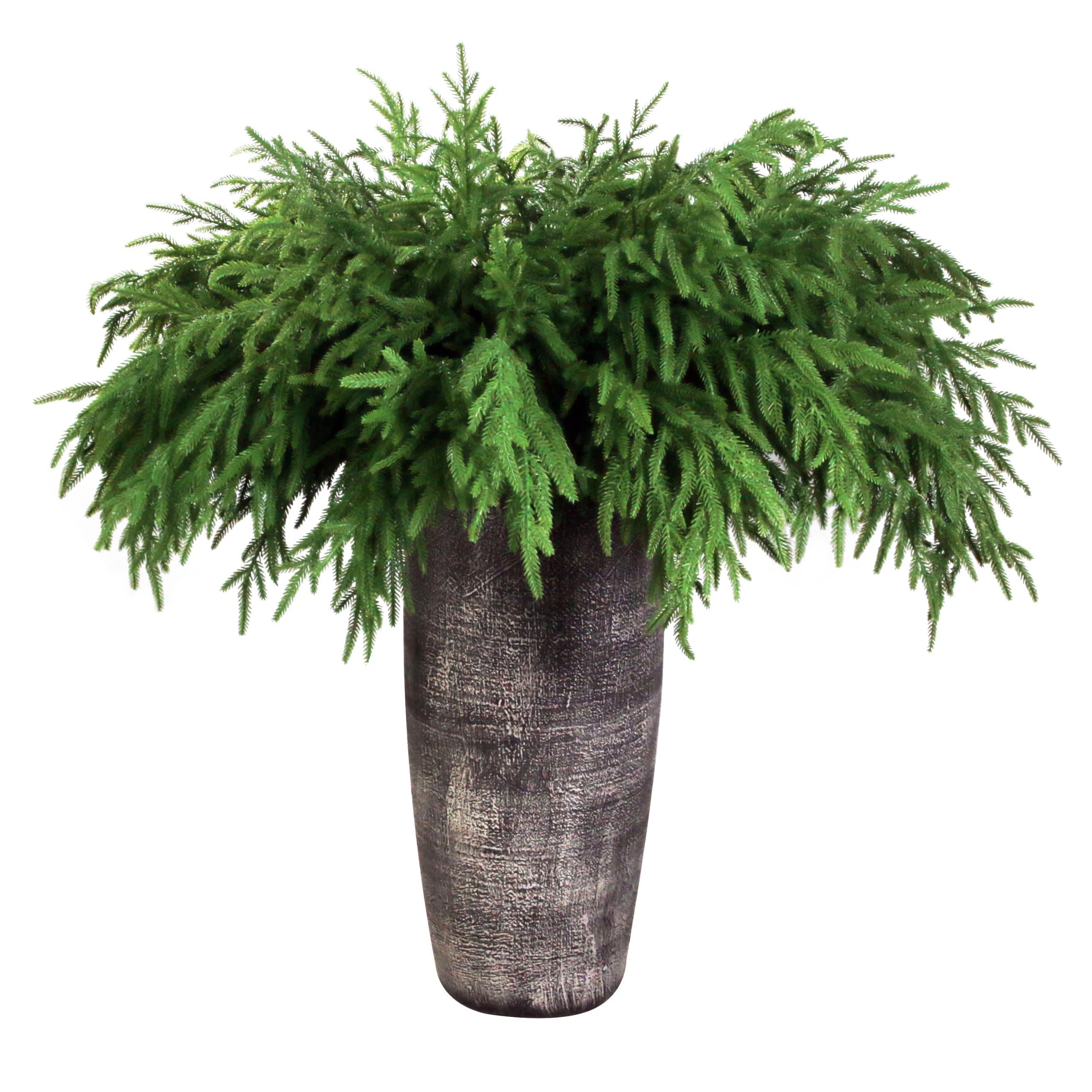 Artifcial Norfolk Pine Branches Plants Decor (Set of 12) | Wayfair North America