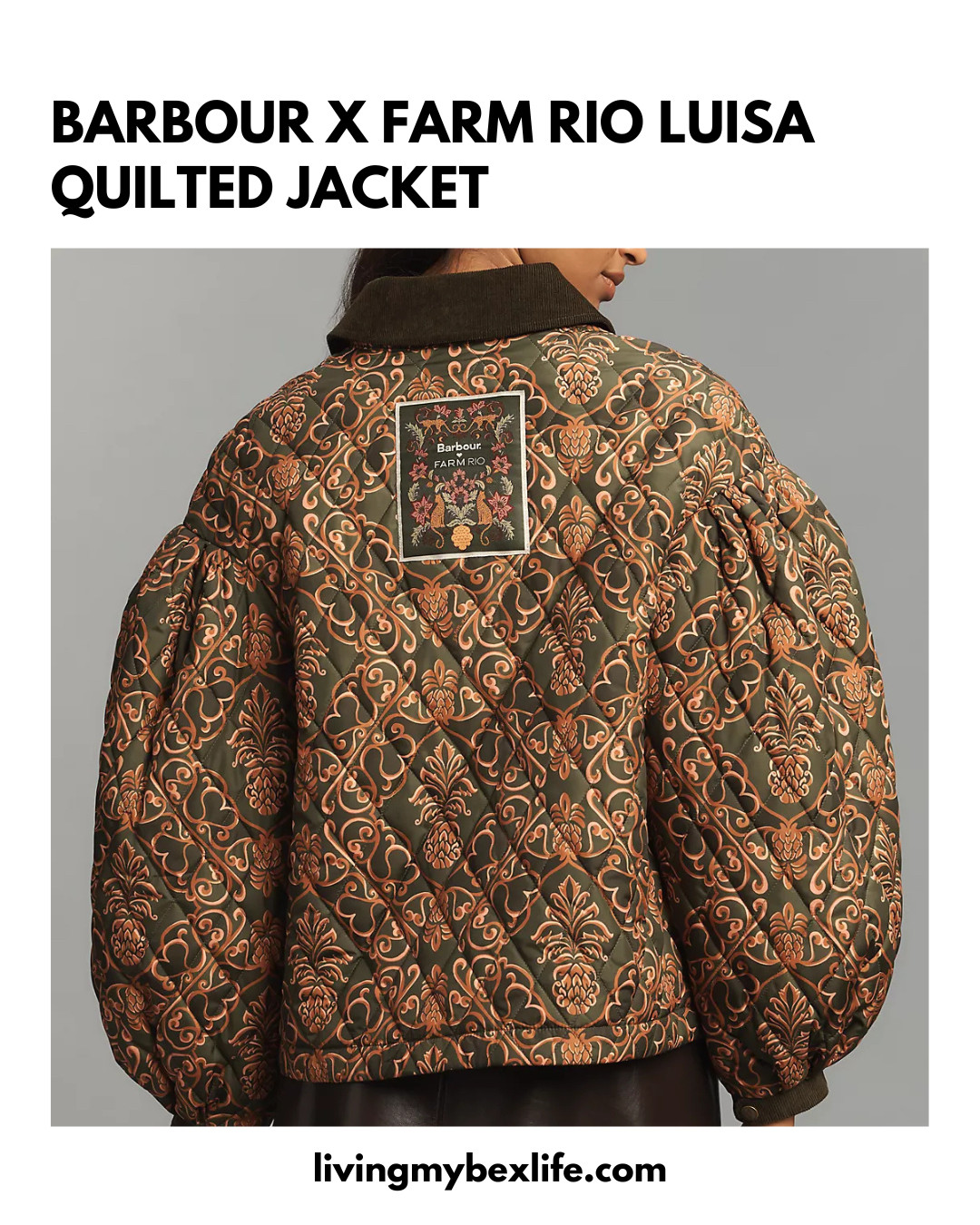 Barbour x Farm Rio Luisa Quilted Jacket at Anthropologie 

 

#LTKGiftGuide #LTKHoliday #LTKootd