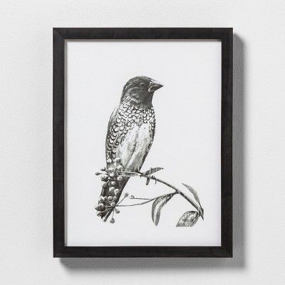 Sketched Bird on Branch Wall Art with Frame - Hearth & Hand™ with Magnolia | Target