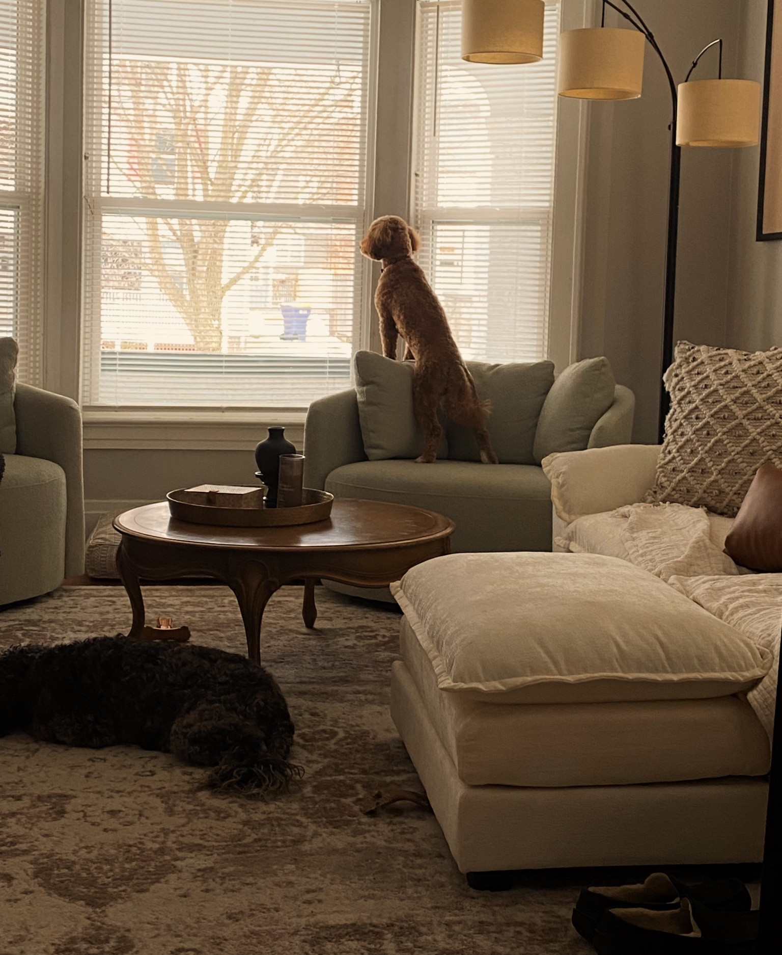 These cutie Viral Walmart swivel chairs are by farrrr my favorite part of my newly updated living room! They are super comfy and sturdy, yet look so cute! The soft green color is on sale now!!! Check my links 😉

#LTKSpringSale #LTKhome #LTKsalealert