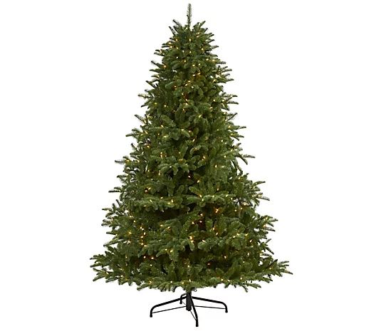 7' Lit Spruce Christmas Tree by Nearly Natural | QVC