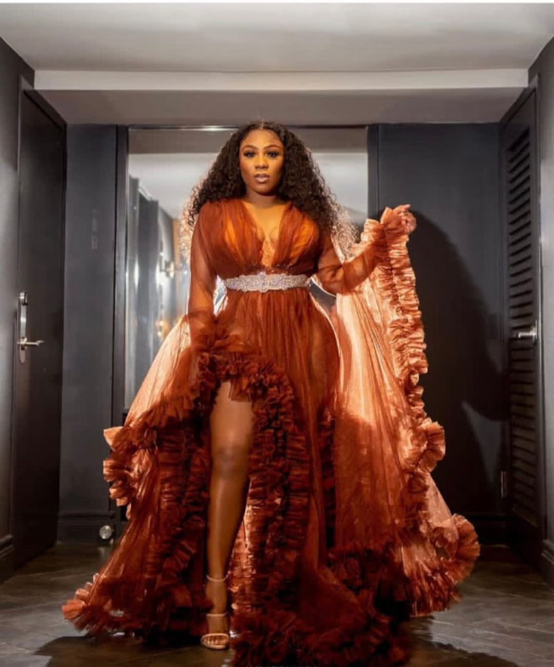 Rust Dressing Gown Long Flowing Tulle Dress Ruffles Tulle - Etsy | Etsy (US)