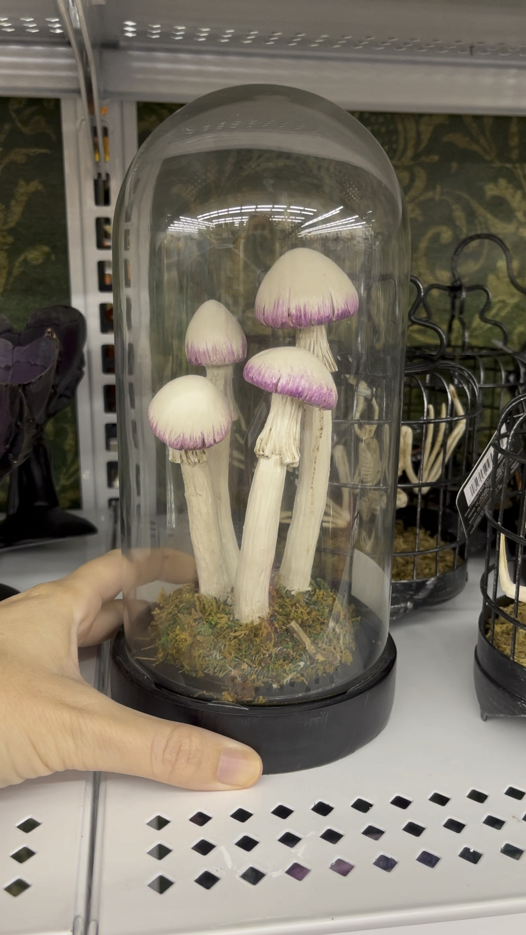 Tabletop Mushroom