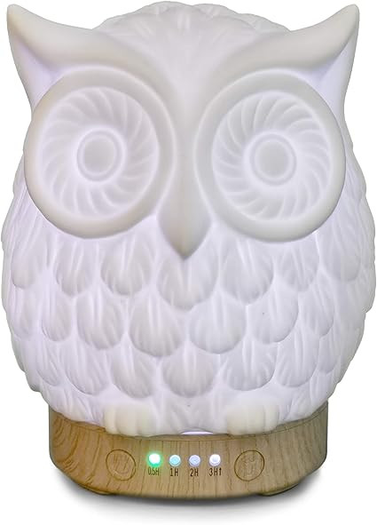 Earnest Living Essential Oil Diffuser Owl Diffuser 100 ml Timers Night Lights and Auto Off Functi... | Amazon (US)