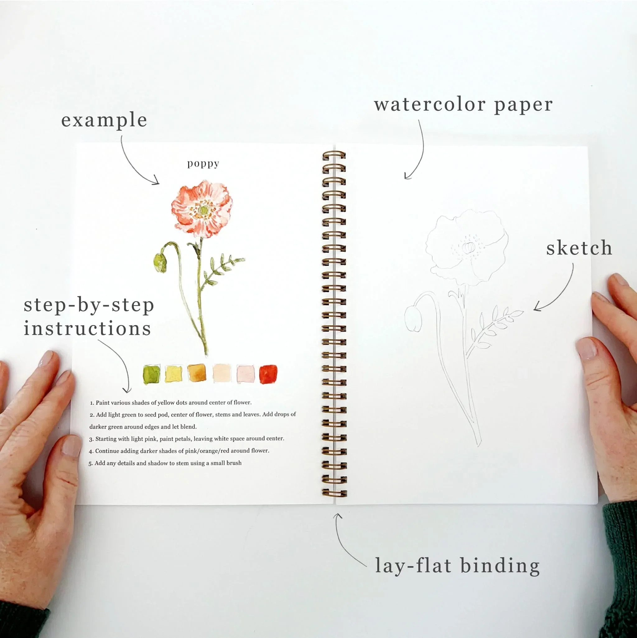 flowers watercolor workbook | Emily Lex Studio