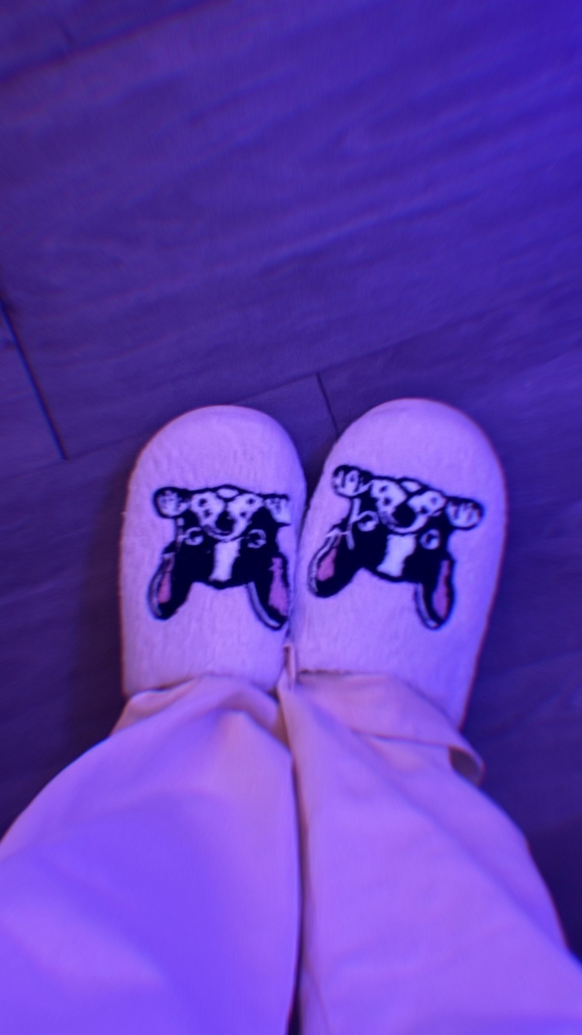 Frenchie slippers 🐶

#LTKHoliday #LTKCyberWeek #LTKFindsUnder50