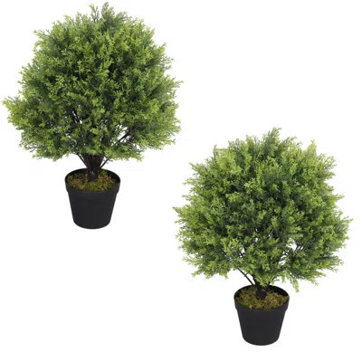 Levine Artificial Topiary Cedar Ball Tree 24'' Fake Cedar Potted Plants | Wayfair North America