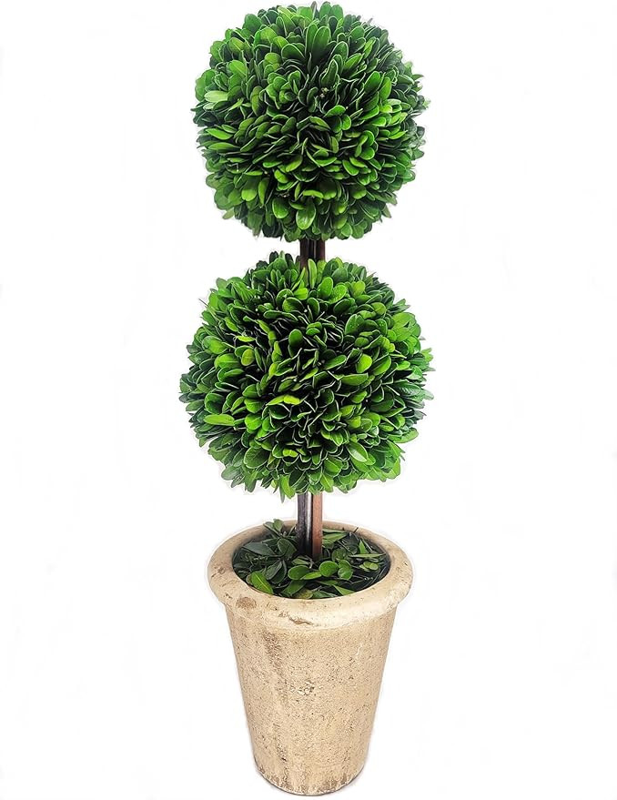 Preserved Boxwood 20" Double Ball Topiary | Amazon (US)