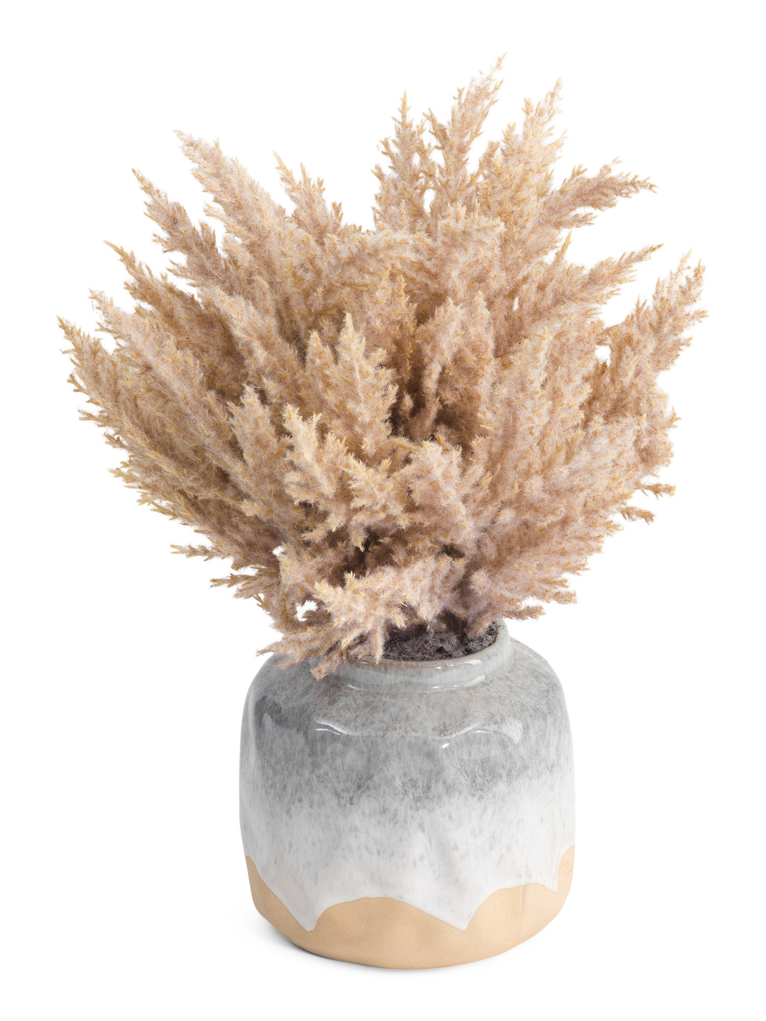 14in Potted Broom Corn Plant | TJ Maxx