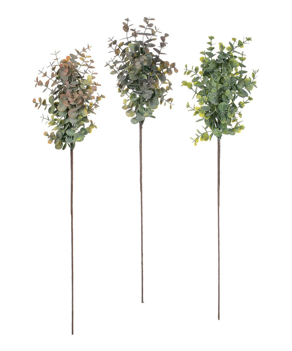 Sullivans Floral GR/BR/GRY - Eucalyptus Stems - Set of Three | Zulily
