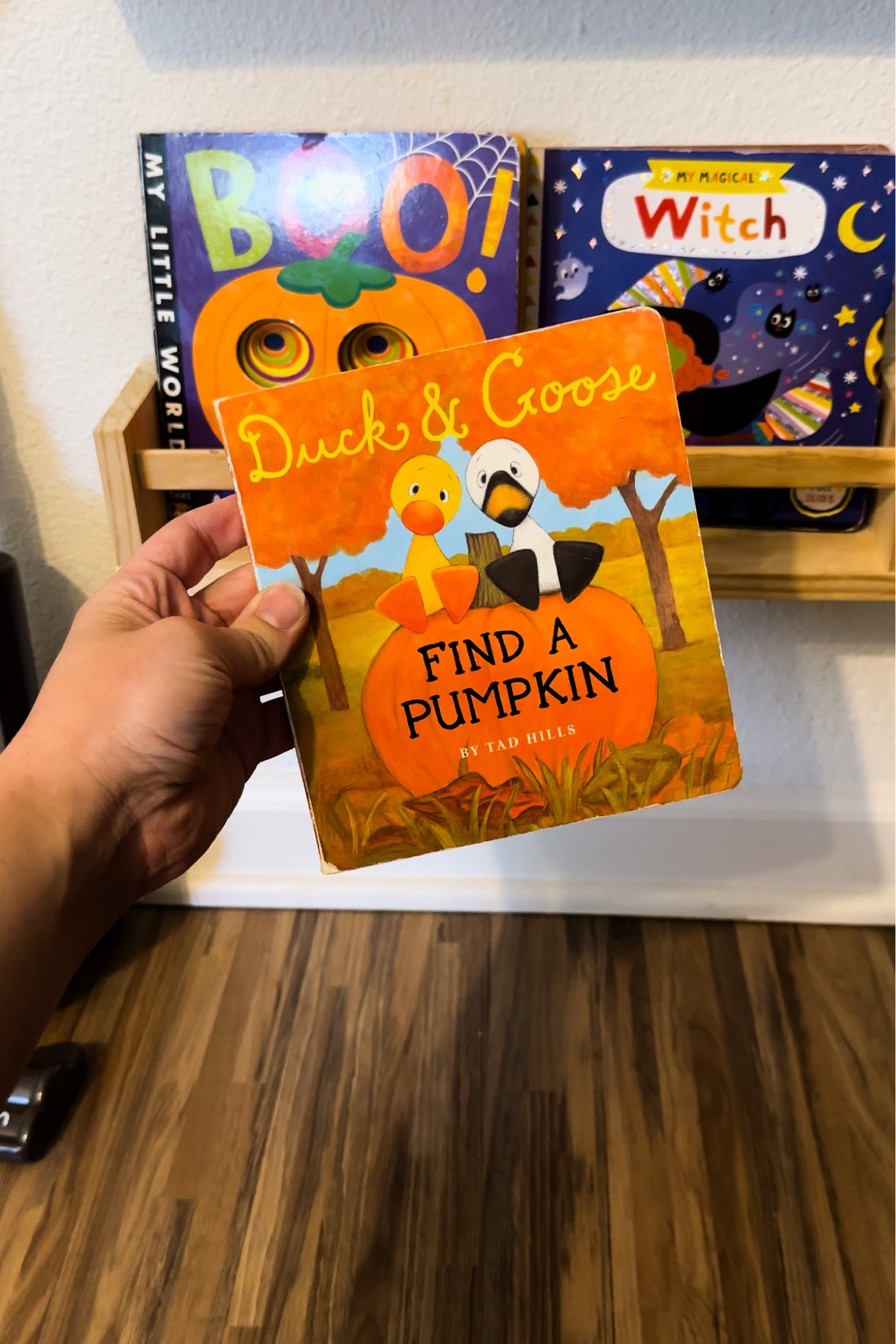 Duck & Goose Find a Pumpkin board books

#LTKSeasonal #LTKkids #LTKHalloween