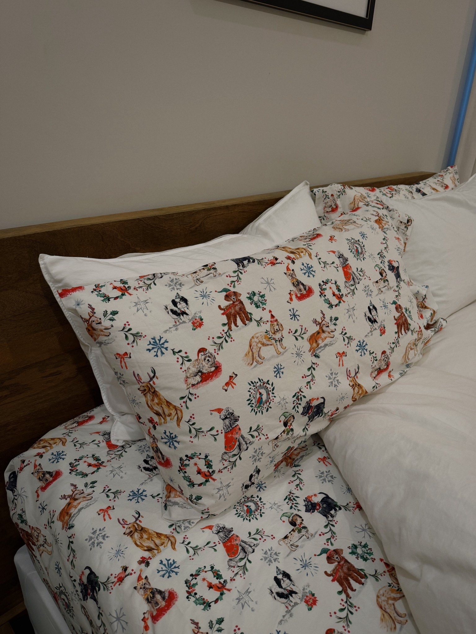 our christmas sheets 🌲 

#LTKHoliday #LTKHome