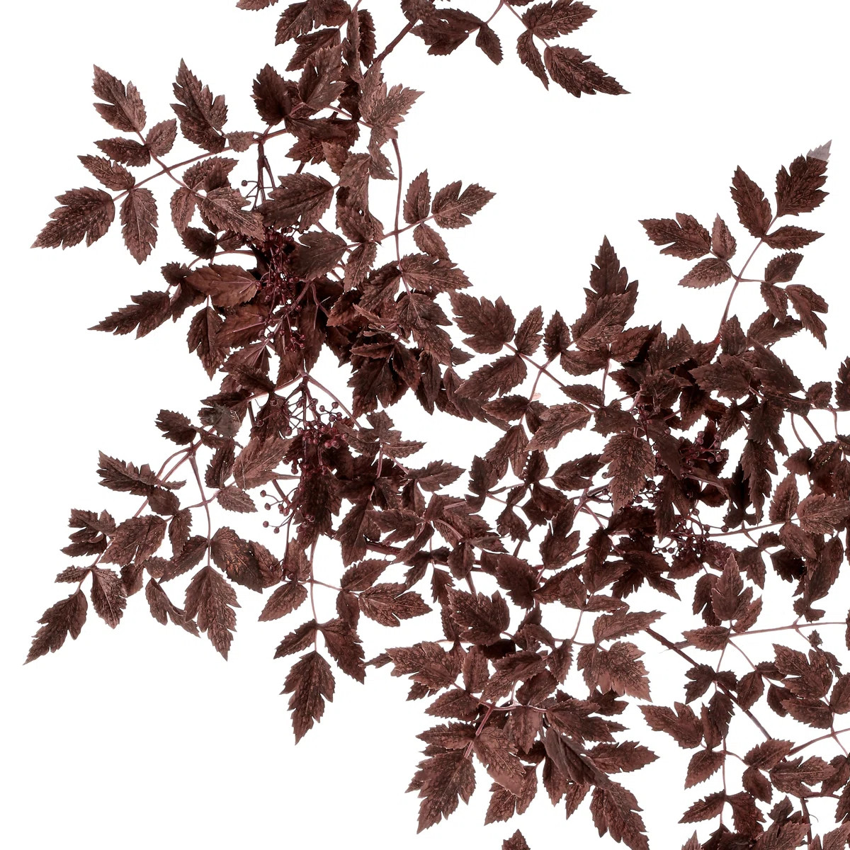 72"Autumn Ruscus With Berry Garland | Wayfair North America