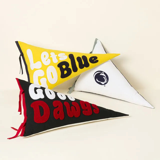 Your College Cheer Pennant Pillow | UncommonGoods