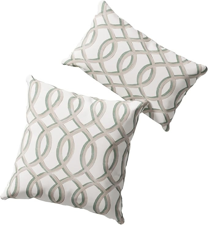 LEMIEUX ET CIE Designer Reversible Outdoor Waterproof Throw Pillow - Green | Amazon (US)