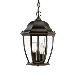 Acclaim Lighting Wexford Collection Hanging Lantern 3-Light Outdoor Matte Black Light Fixture-503... | The Home Depot