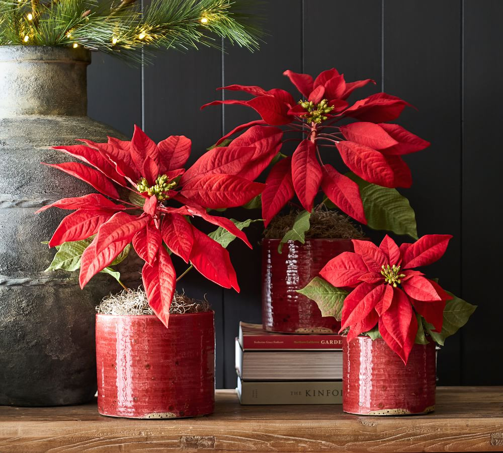 Faux Potted Poinsettias - Red | Pottery Barn (US)