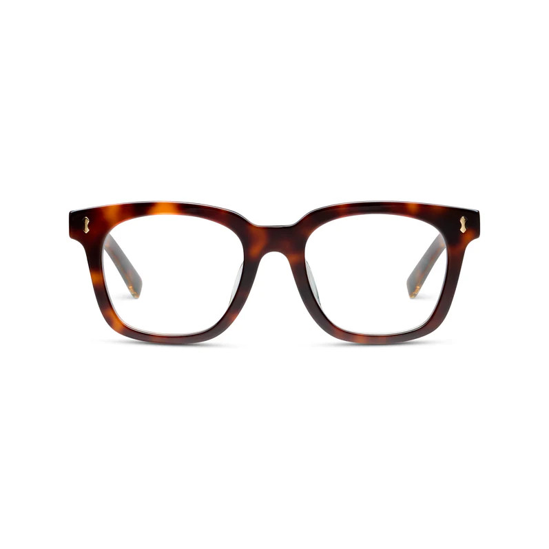 Lakefront (Blue Light) - Tortoise / Reading / 1.00 - Peepers by PeeperSpecs | Peepers