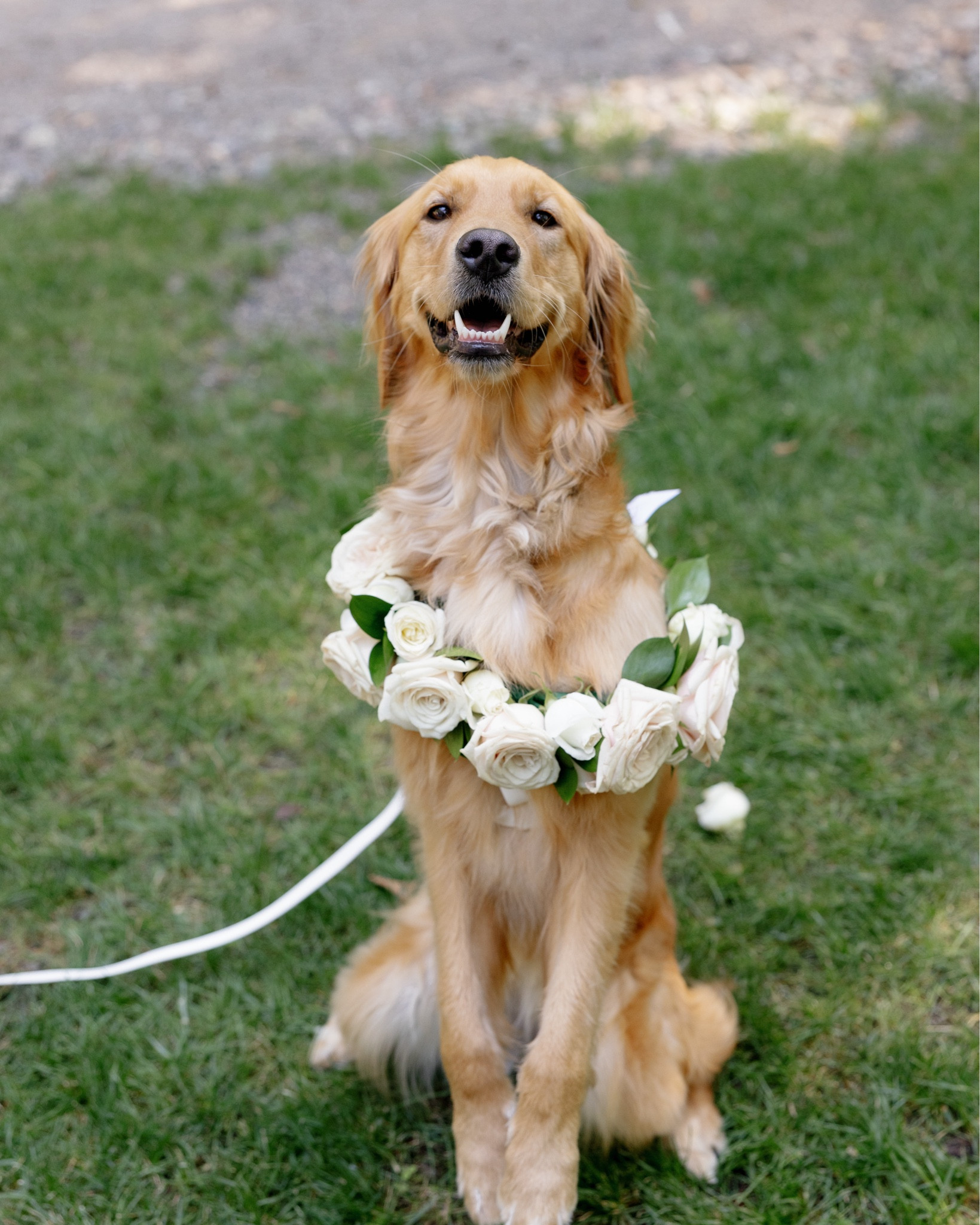 Aria’s Flower Girl Outfit 🌸🧺

#LTKWedding