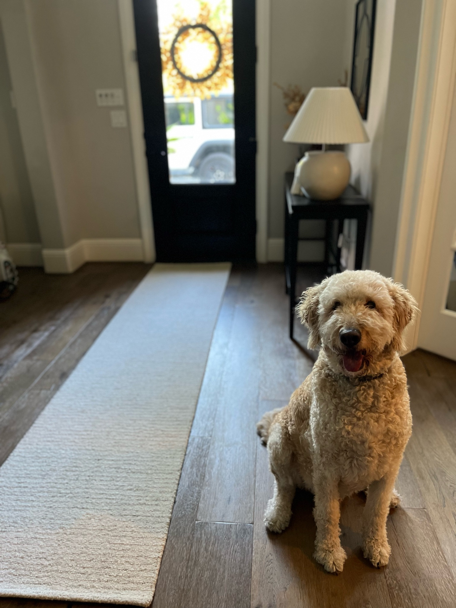 Loving this gorgeous new entry runner!  Rug, Home, Console, Home, Amazon Find, Look for Less, Living Room, Bedroom, Dining, Kitchen, Modern, Restoration Hardware, Arhaus, Pottery Barn, Target, Style, Home Decor, Summer, Fall, New Arrivals, CB2, Anthropologie, Urban Outfitters, Inspo, Inspired, West Elm, Console, Coffee Table, Chair, Pendant, Light, Light fixture, Chandelier, Outdoor, Patio, Porch, Designer, Lookalike, Art, Rattan, Cane, Woven, Mirror, Luxury, Faux Plant, Tree, Frame, Nightstand, Throw, Shelving, Cabinet, End, Ottoman, Table, Moss, Bowl, Candle, Curtains, Drapes, Window, King, Queen, Dining Table, Barstools, Counter Stools, Charcuterie Board, Serving, Rustic, Bedding, Hosting, Vanity, Powder Bath, Lamp, Set, Bench, Ottoman, Faucet, Sofa, Sectional, Crate and Barrel, Neutral, Monochrome, Abstract, Print, Marble, Burl, Oak, Brass, Linen, Upholstered, Slipcover, Olive, Sale, Fluted, Velvet, Credenza, Sideboard, Buffet, Budget Friendly, Affordable, Texture, Vase, Boucle, Stool, Office, Canopy, Frame, Minimalist, MCM, Bedding, Duvet, Looks for Less


#LTKHome #LTKFindsUnder100 #LTKStyleTip