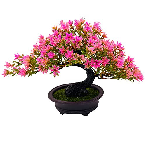 Artificial Bonsai Tree,Faux Pine Plants,Faux Juniper Potted Fake Plants Indoor Office Decor for Men Desk Plant Home Table,Shelf Desktop Bonsai Plant Room Decor for Men,Japenses Zen Pine Pink Saku | Amazon (US)