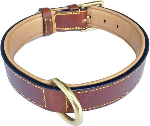 Soft Touch Collars Leather Two-Tone Padded Dog Collar | Chewy.com