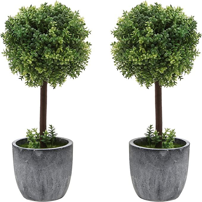 Set of 2 Small Realistic Artificial Boxwood Topiary Trees / Faux Tabletop Plants w/ Gray Ceramic ... | Amazon (US)