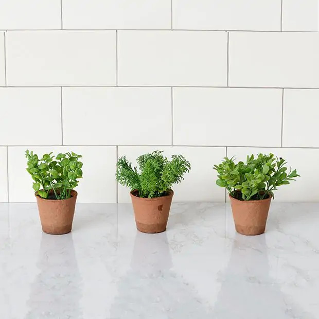 ASSORTED POTTED HERBS SET OF 3 | Antique Farm House