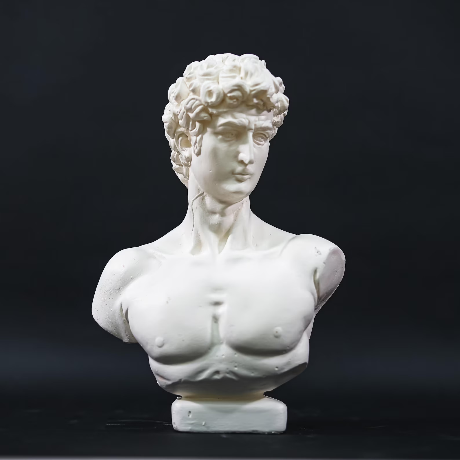 Statue of David , David Bust Statue, Bust, White Sculpture ,roman Sculpture Statues, Greek Bust S... | Etsy (US)