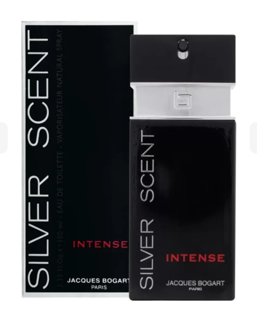 Silver Scent intende um perfume para homens marcantes determinados

#LTKfamily #LTKbeauty #LTKbrasil