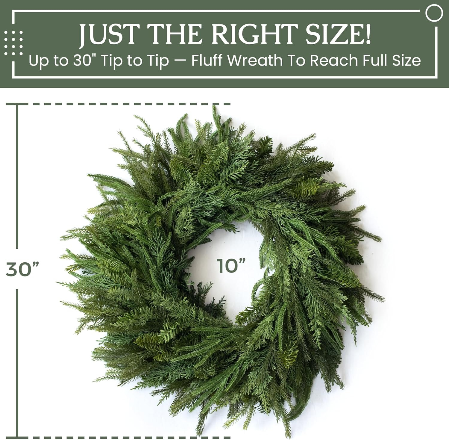 30" Mixed Norfolk Pine Wreath with Evergreen and Cedar Wreath Leaves Extra Full with 138 Tips | Amazon (US)