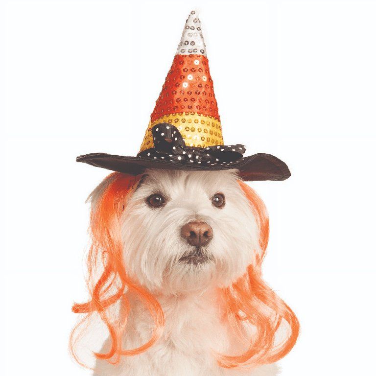 Rubies Pet Shop Boutique Pet Halloween Costume Accessory Candy Corn Witch Hat For Dog or Cat | Walmart (US)