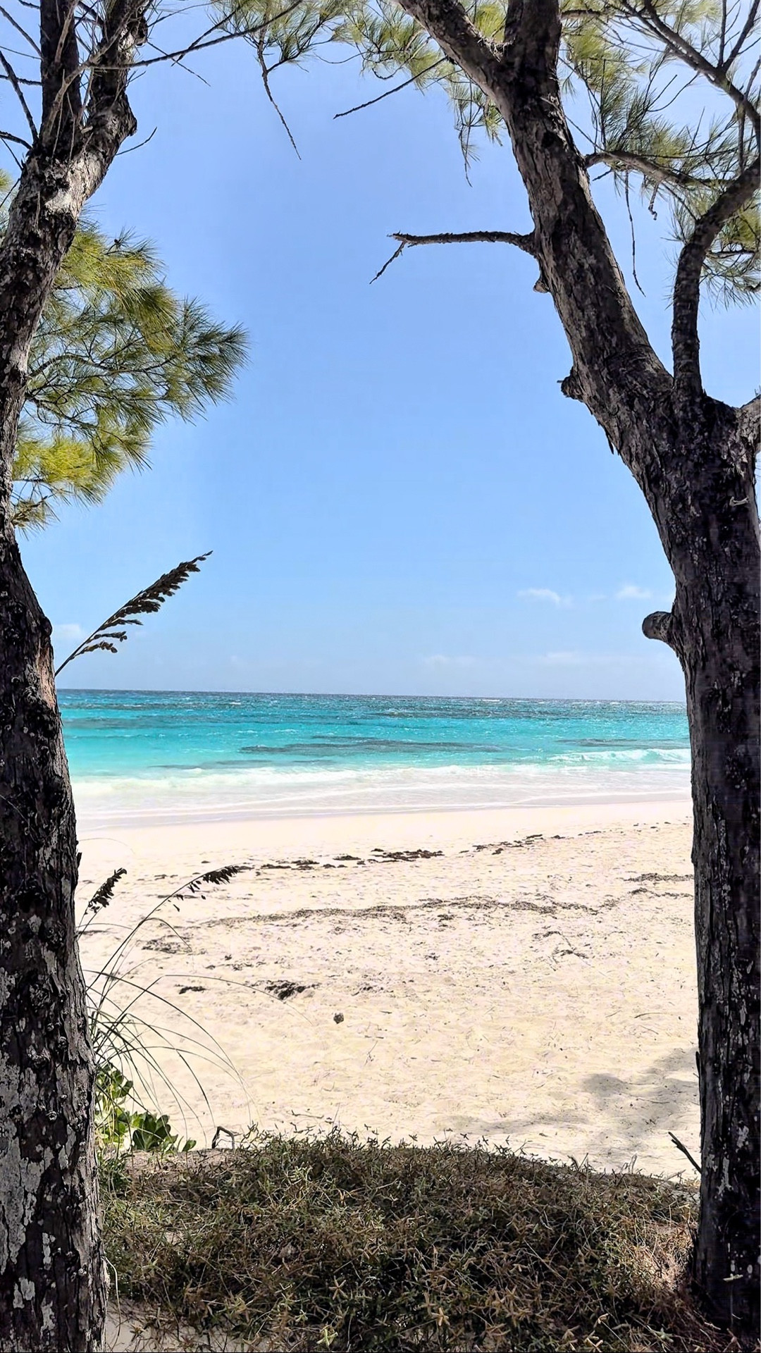 We stumbled upon this beautiful spot by accident!
While most people prefer to hang out on the beach, our little guy prefers to go on adventures.
When we heard there was a lighthouse, we decided that sounded like the perfect little adventure.
We had opted to leave our regular/travel stroller at home and brought the cheapest umbrella stroller we could find on the cruise, so we weren’t sure if it would work on the nature trail, but it worked just fine.
We saw that the nature trail went two ways, one up to the right towards the lighthouse and one down to the left. 
We weren’t sure where the path to the left went, but we decided to check it out first, as it was a bit more shady.
And we are so glad we did! 


#LTKSwim #LTKvlog #LTKTravel