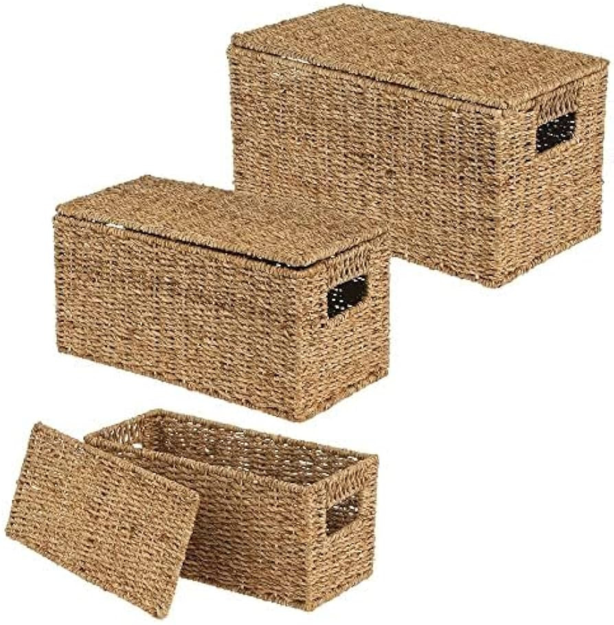 mDesign Natural Woven Seagrass Closet Storage Organizer Basket Bin with Removeable Lids to use in... | Amazon (US)
